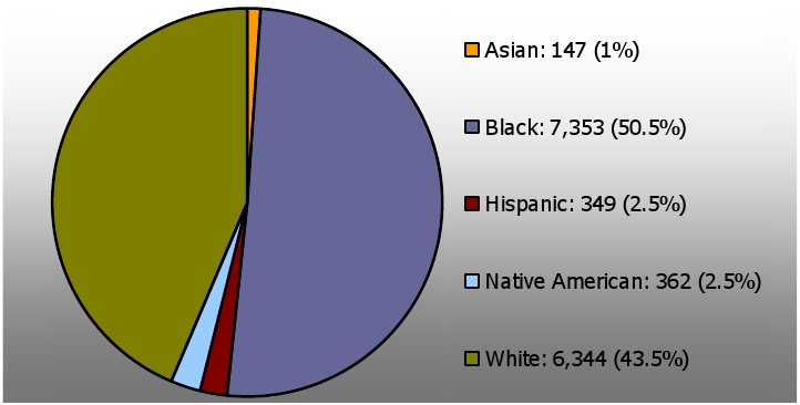 Pie Chart of Executions by Race 1608-2002
